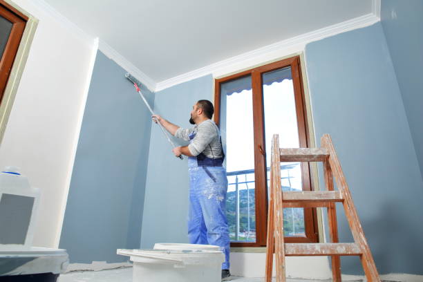 Mold Remediation for Rental Properties in Scotts Valley, CA