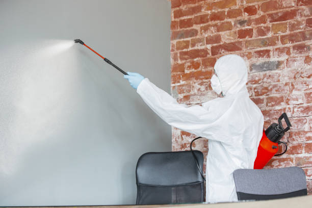 Best Real Estate Mold Inspection  in Scotts Valley, CA