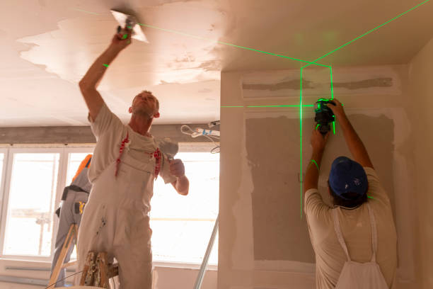 Scotts Valley, CA Mold Removal Company
