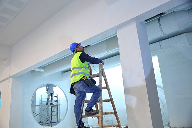 Professional Mold Removal in Scotts Valley, CA