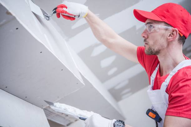 Mold Removal for HVAC Installations in Scotts Valley, CA